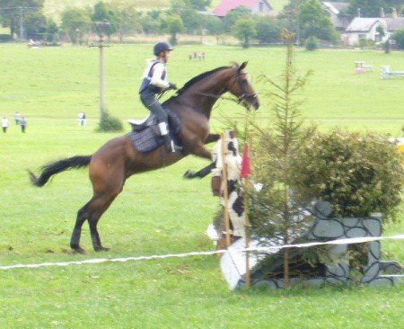 Sezóna 2008